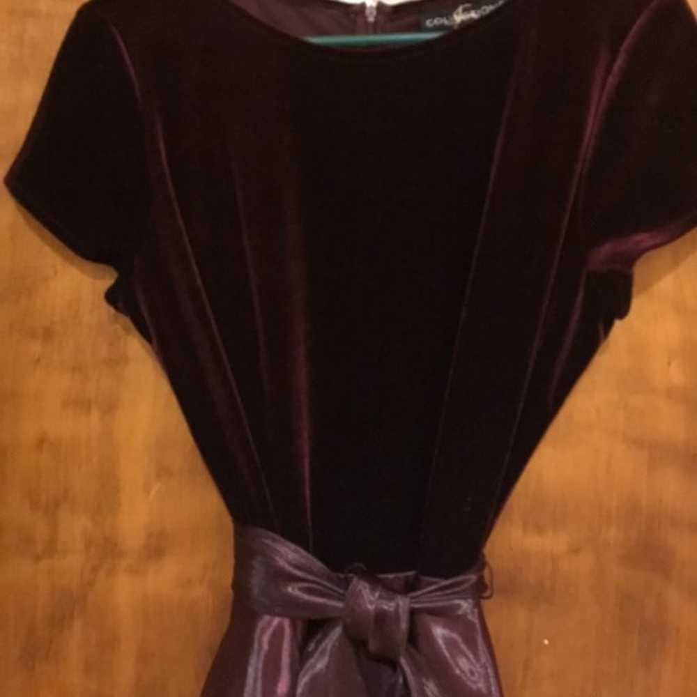 Burgandy Gown - image 3