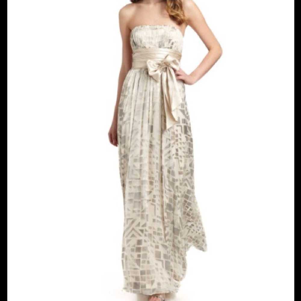 Bcbg Chiffon Silk Gown - image 1