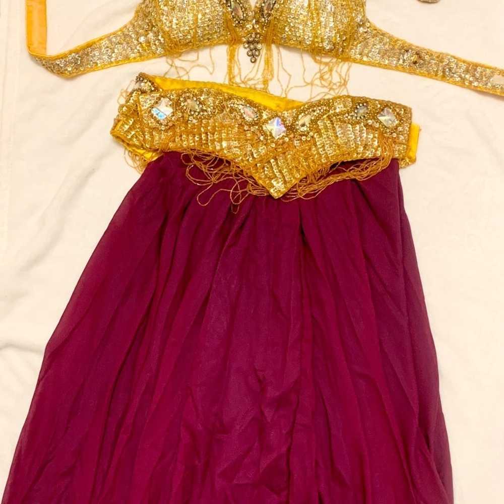Professional Bellydance Costume - image 4