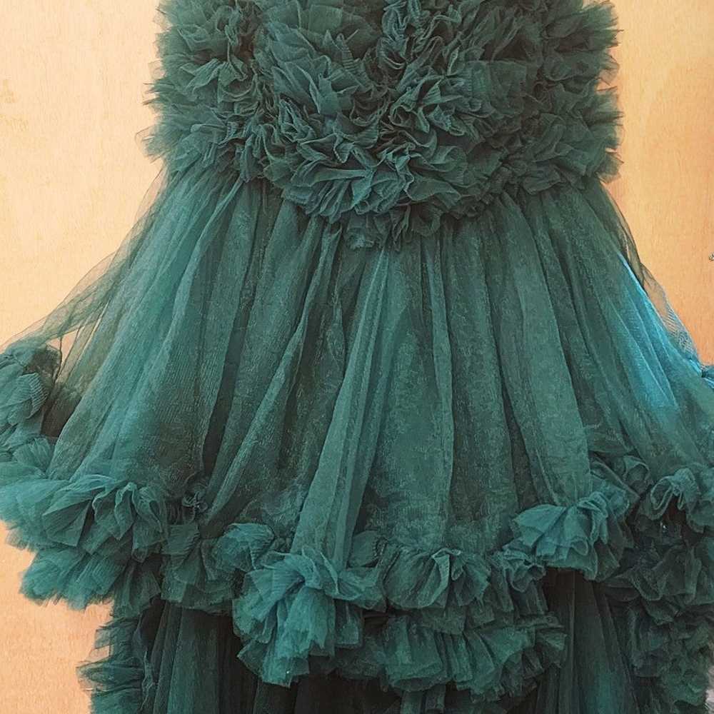 Long Sleeve Maxi Ruffled Tulle Dress for BOUDOIR … - image 10