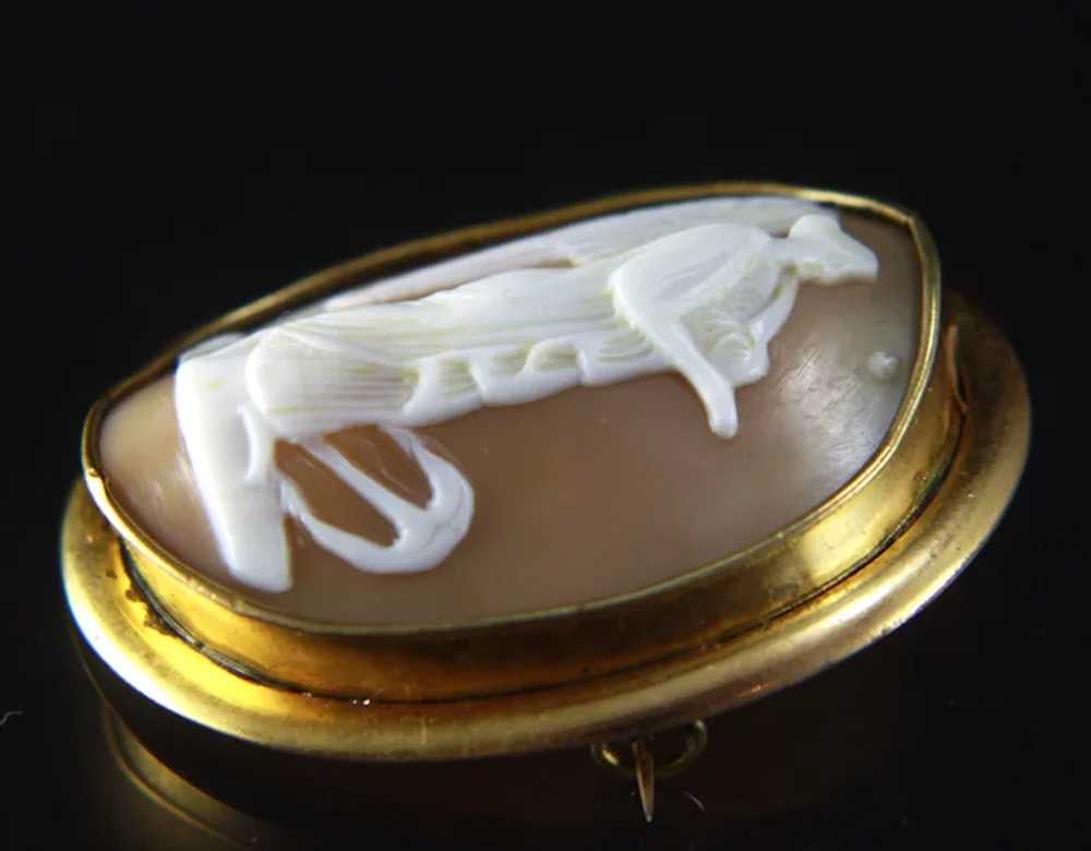 Victorian Cameo Brooch of Angel Hope - image 7