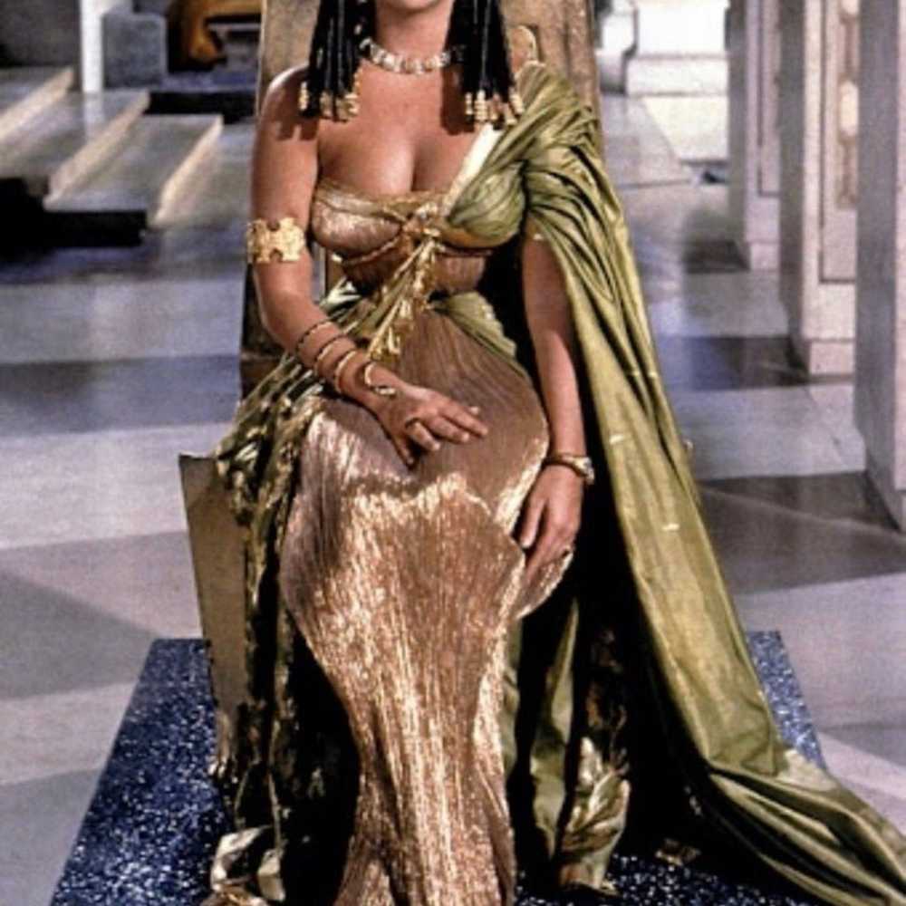 Cleopatra / Egyptian Goddess Costume With Accesso… - image 9