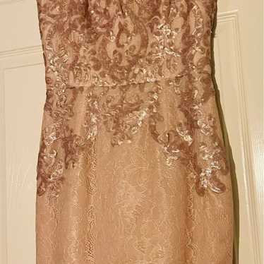 zara blush sequin - Gem