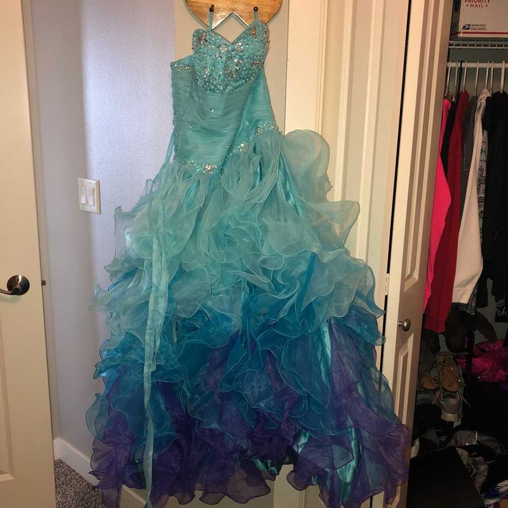 Prom Or Quinceañera Dress - image 1