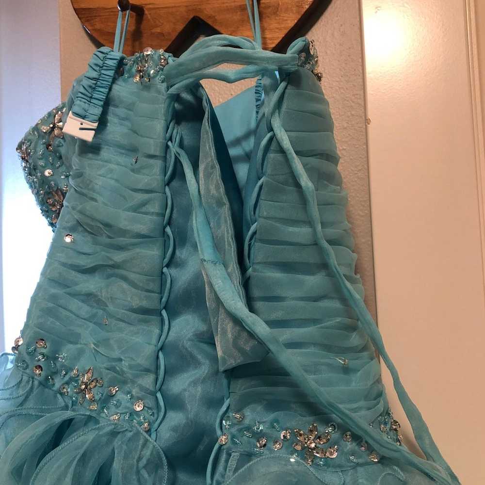 Prom Or Quinceañera Dress - image 4