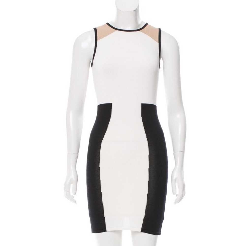 Torn by Ronny Kobo Colorblock Dress - image 1