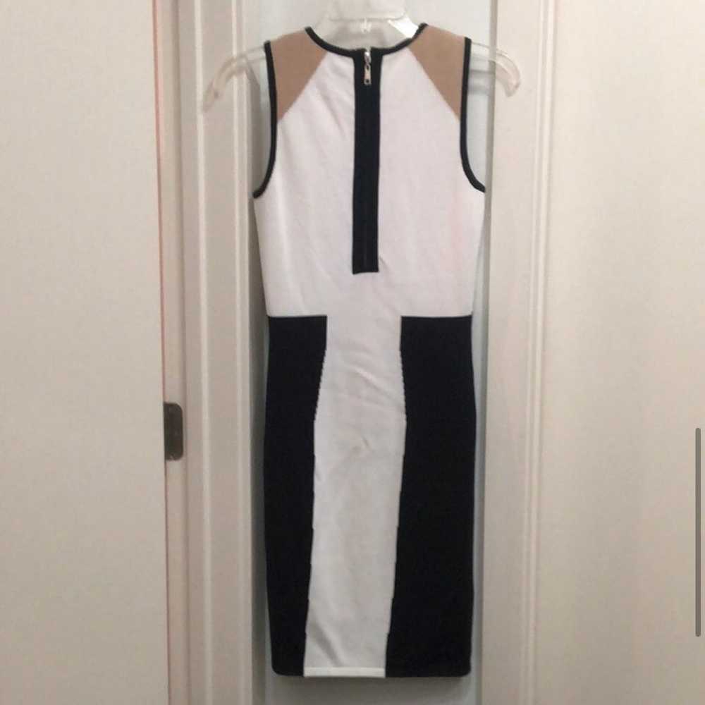 Torn by Ronny Kobo Colorblock Dress - image 6