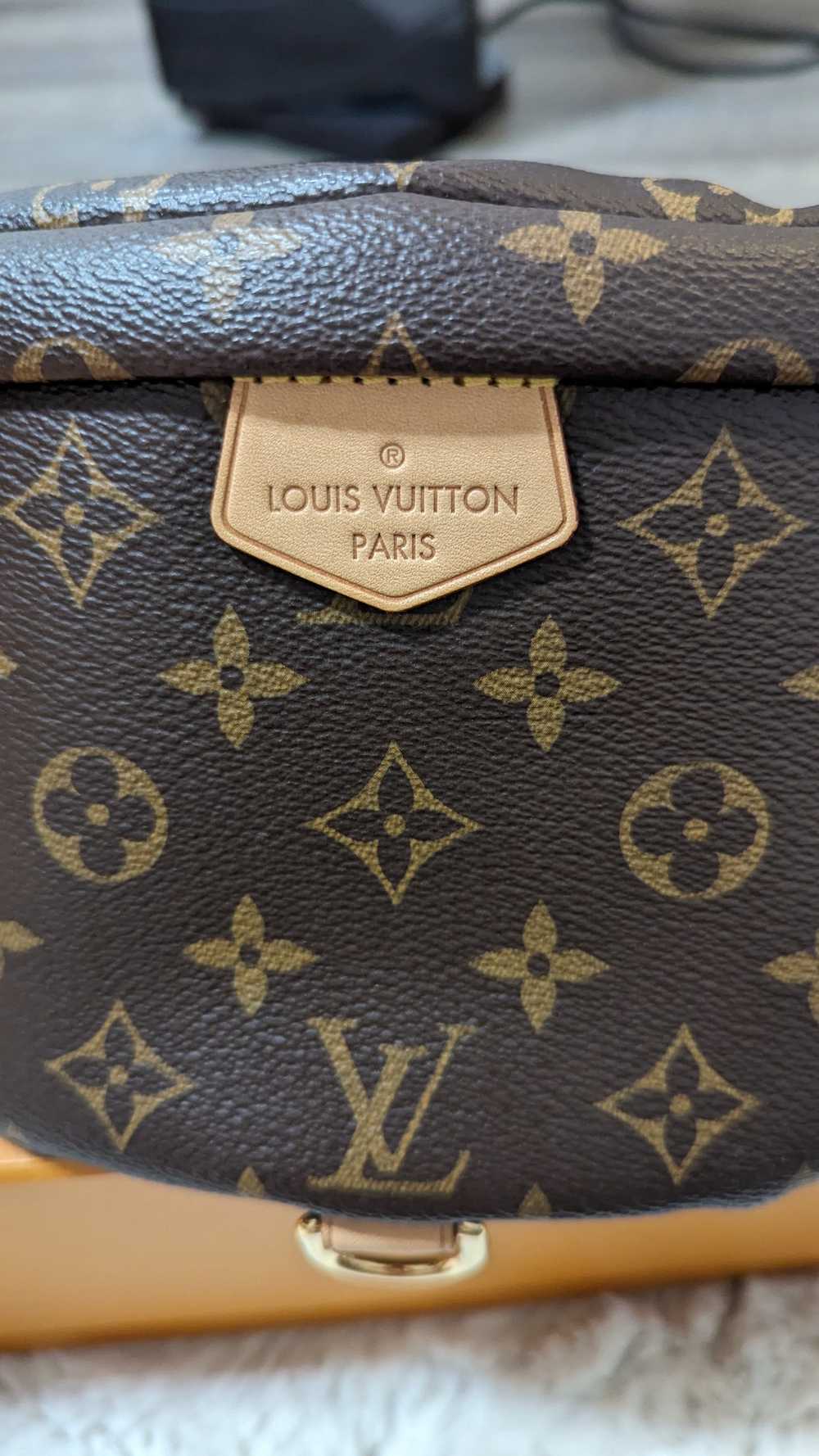 Louis Vuitton Louis Vuitton Bumbag Monogram - image 2