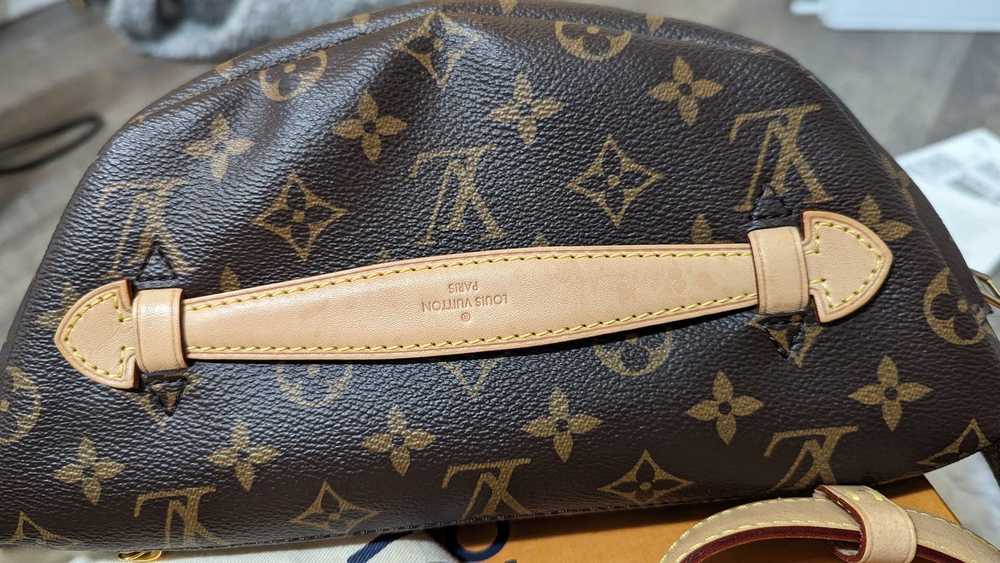 Louis Vuitton Louis Vuitton Bumbag Monogram - image 5