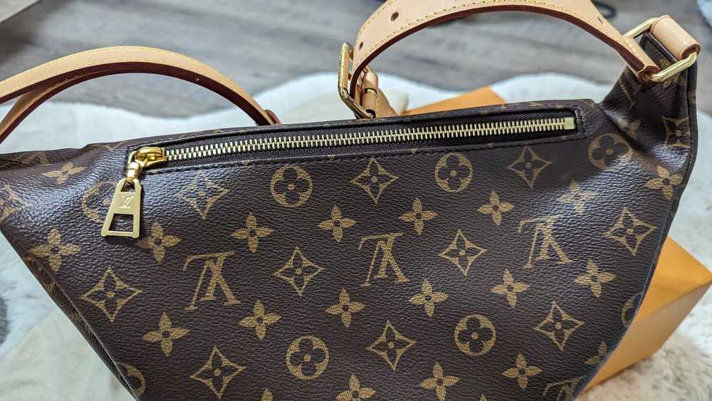 Louis Vuitton Louis Vuitton Bumbag Monogram - image 7