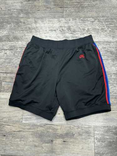 Nike Nike SB Tricolor Mesh Shorts