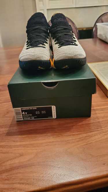 Nike LeBron XVI 'Space Travel' (GS) Sz 4y