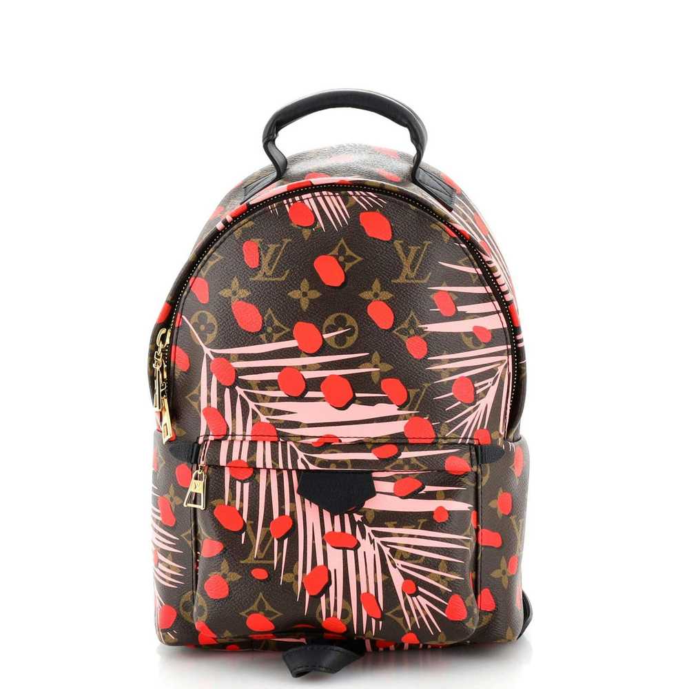 Louis Vuitton Palm Springs Backpack Limited Editi… - image 1