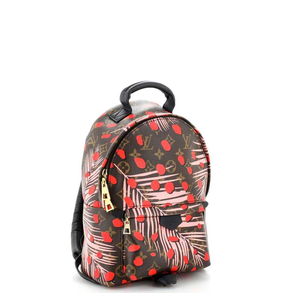 Louis Vuitton Palm Springs Backpack Limited Editi… - image 2