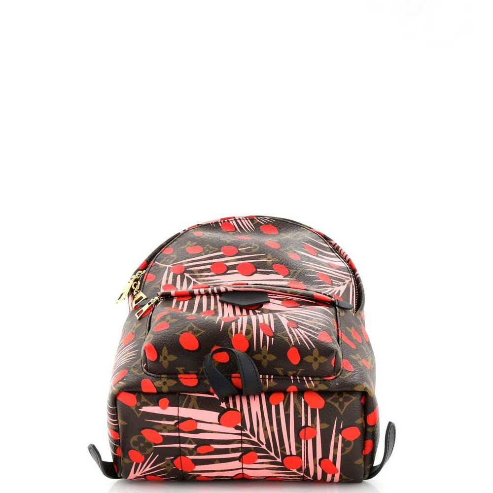 Louis Vuitton Palm Springs Backpack Limited Editi… - image 4