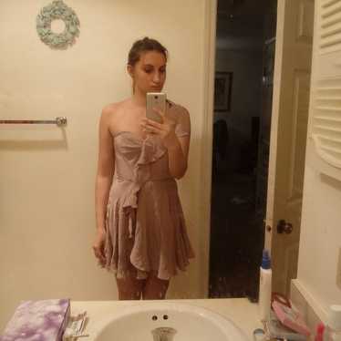 Zimmerman Dress - image 1