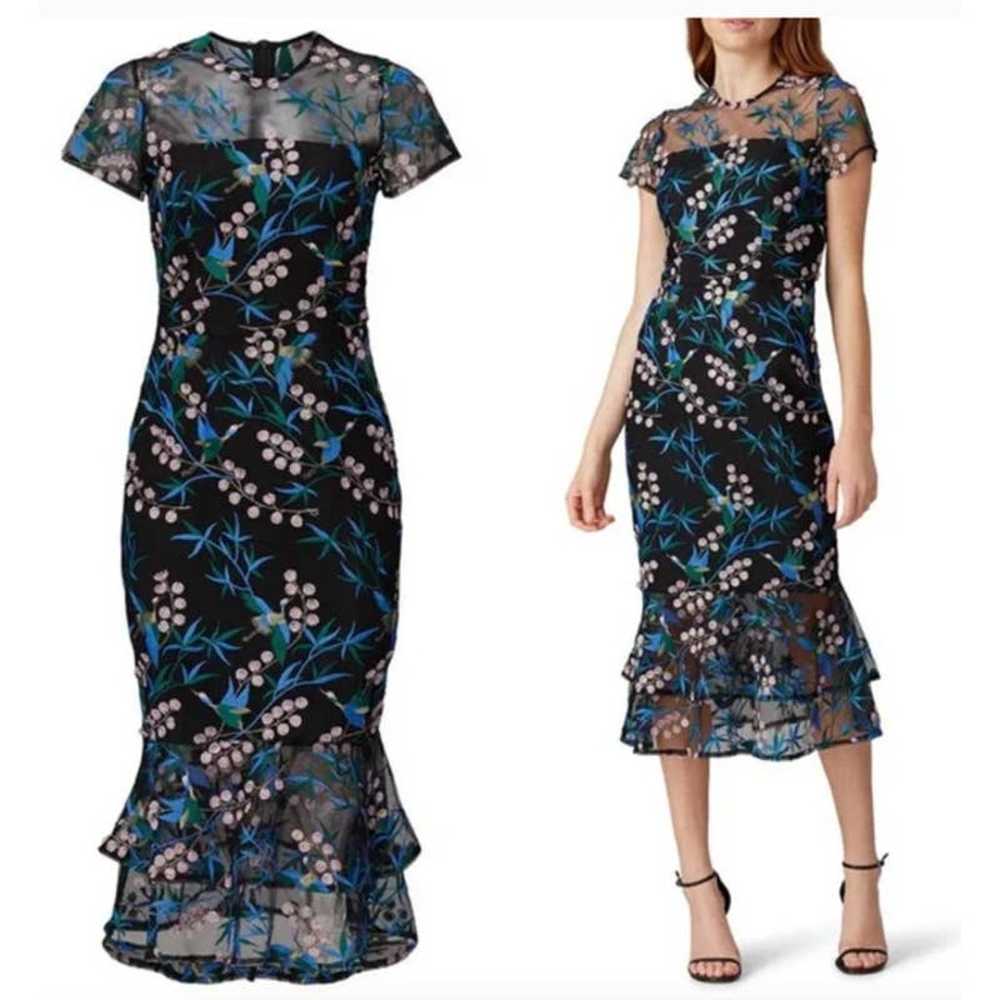 Vone Rylee Dress Embroidered Midi Sheer Mesh Ruff… - image 1