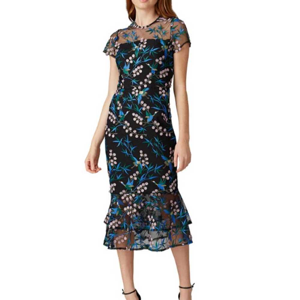 Vone Rylee Dress Embroidered Midi Sheer Mesh Ruff… - image 2