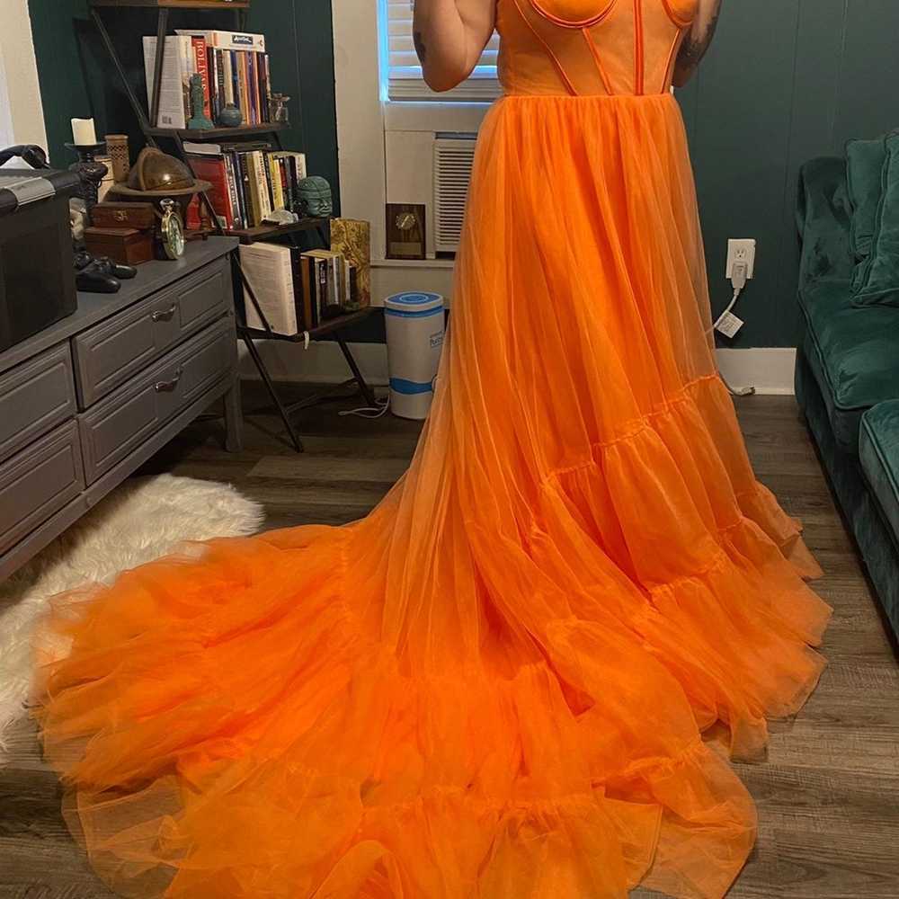 Beautiful Orange Gown - image 4