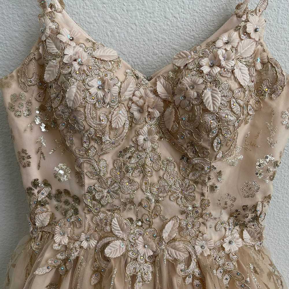 DANCING QUEEN Gold Beige Floral Glitter Tinker Be… - image 4