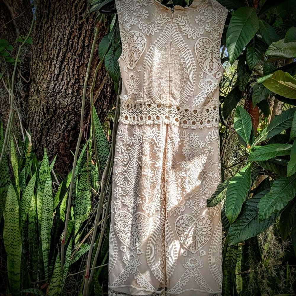 Anna Sui Limited Edition Decades Lace Dress - image 2