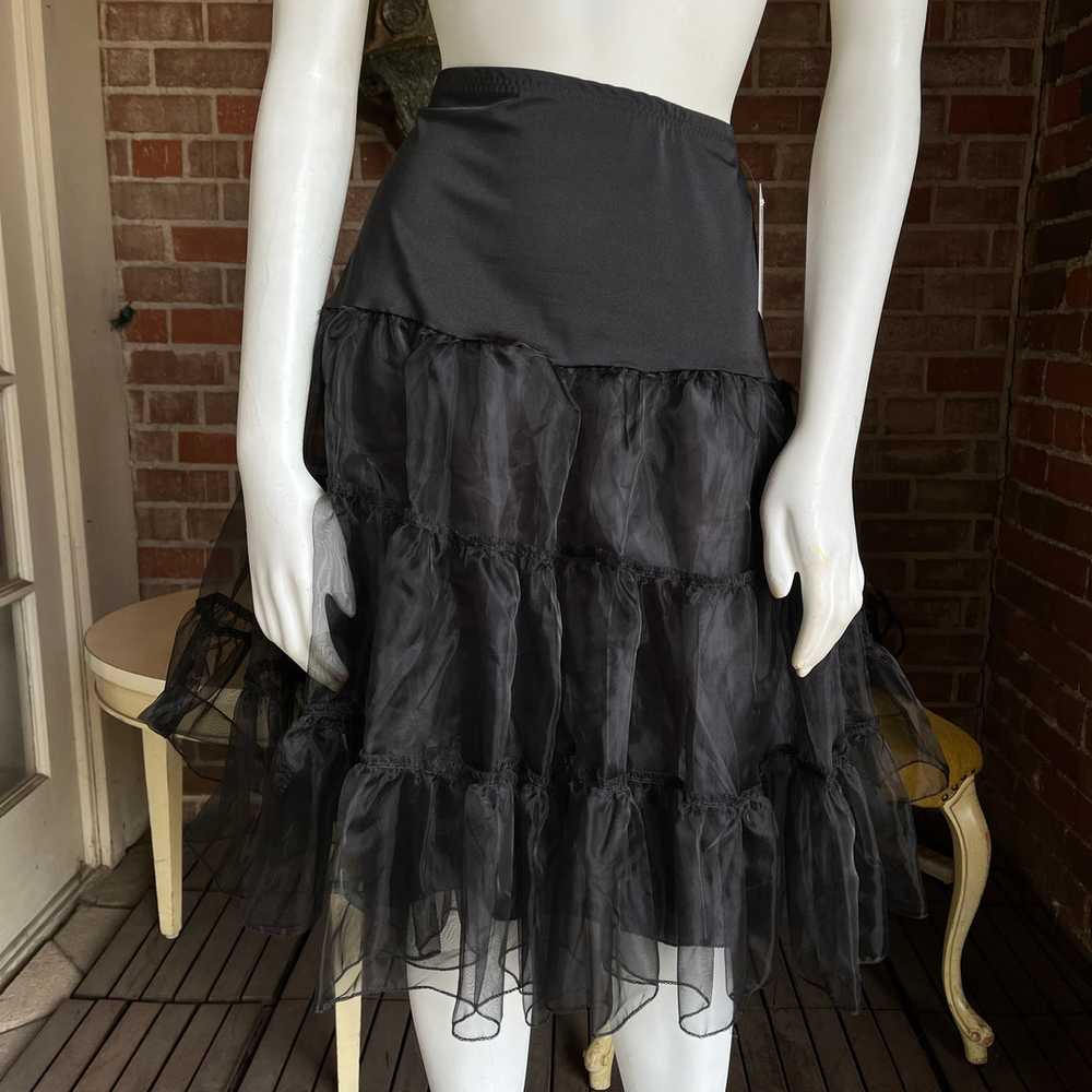 Black Petticoat - image 1