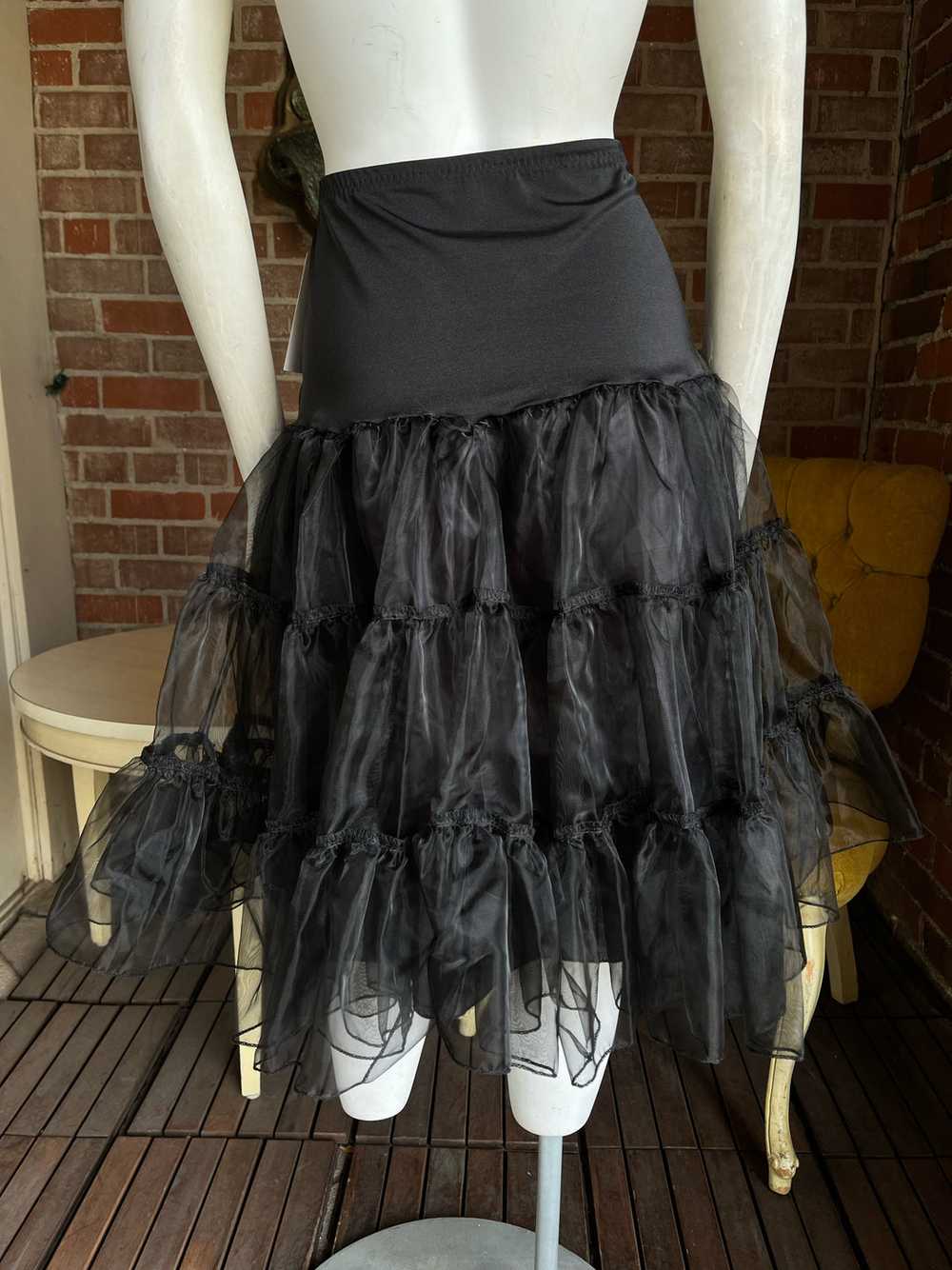 Black Petticoat - image 4