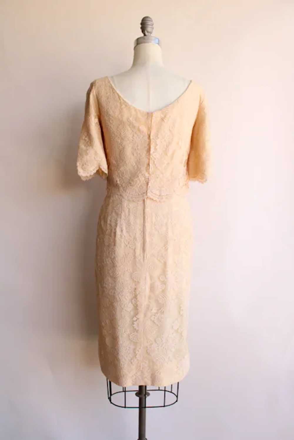 Vintage 1960s Dress, Pink Illusion Lace Fluttery … - image 2