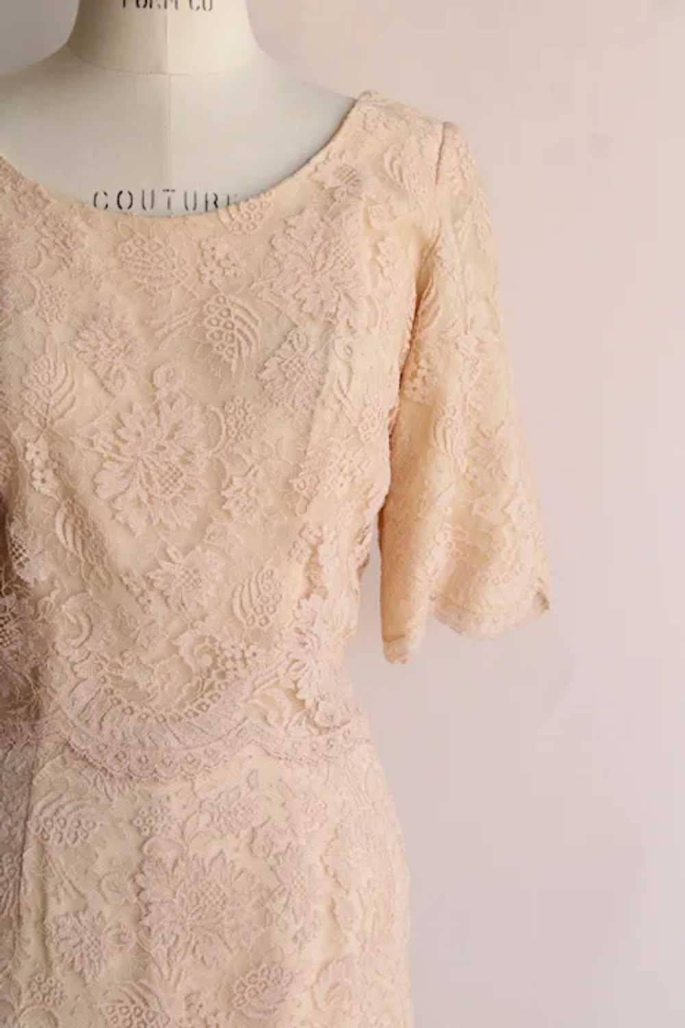 Vintage 1960s Dress, Pink Illusion Lace Fluttery … - image 3