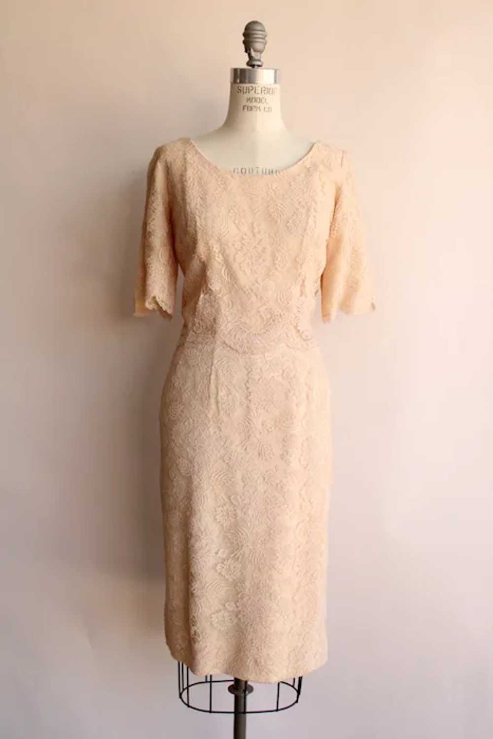 Vintage 1960s Dress, Pink Illusion Lace Fluttery … - image 4