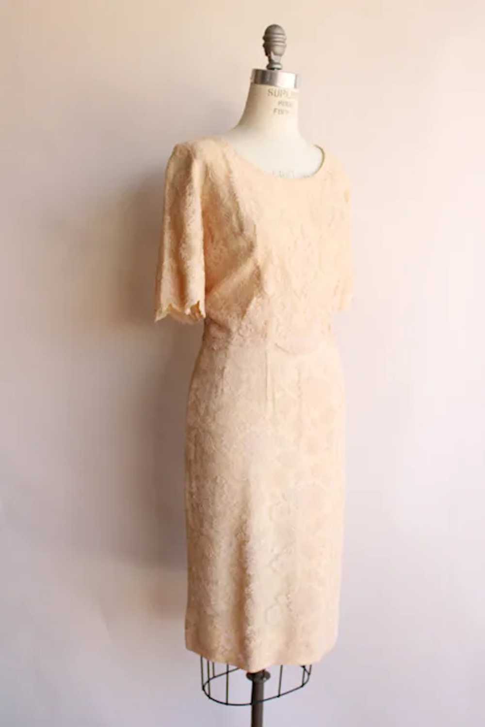 Vintage 1960s Dress, Pink Illusion Lace Fluttery … - image 7