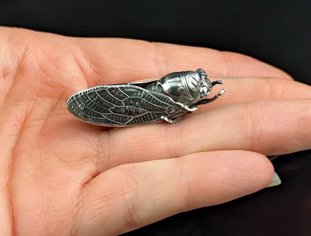 Antique French silver cicada brooch, Art Nouveau - image 3