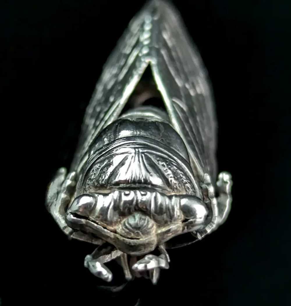 Antique French silver cicada brooch, Art Nouveau - image 4