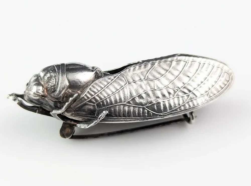 Antique French silver cicada brooch, Art Nouveau - image 9