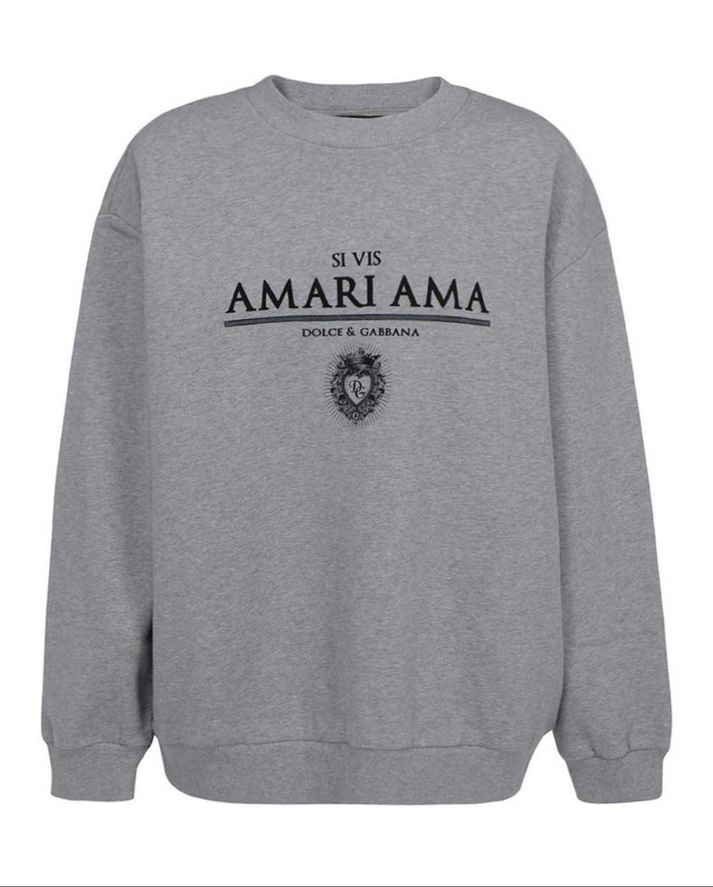 Dolce & Gabbana Amari Ama Cotton Jersey Sweatshirt - image 1