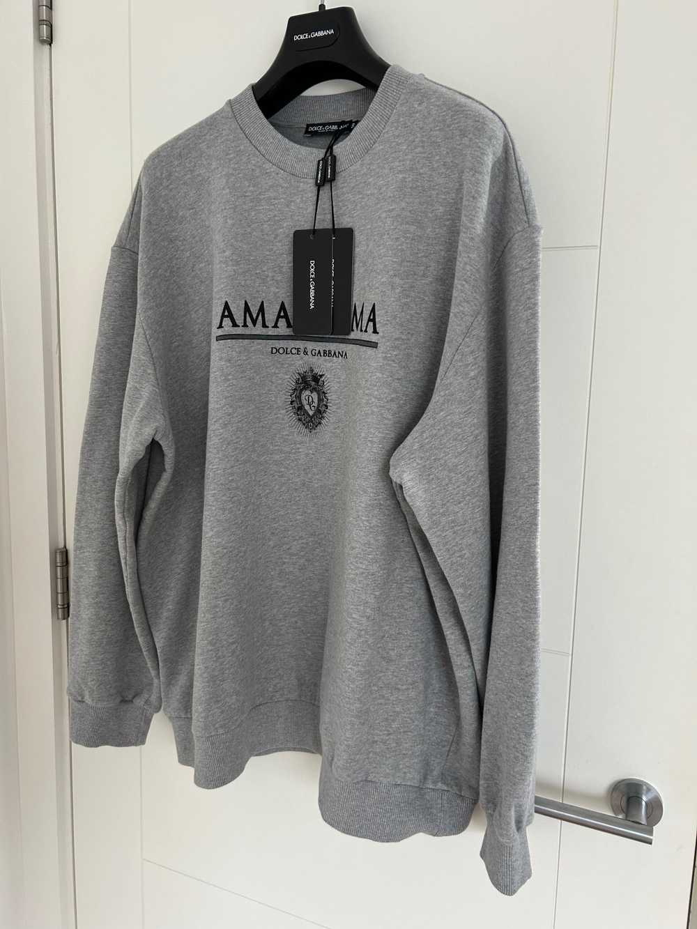 Dolce & Gabbana Amari Ama Cotton Jersey Sweatshirt - image 5