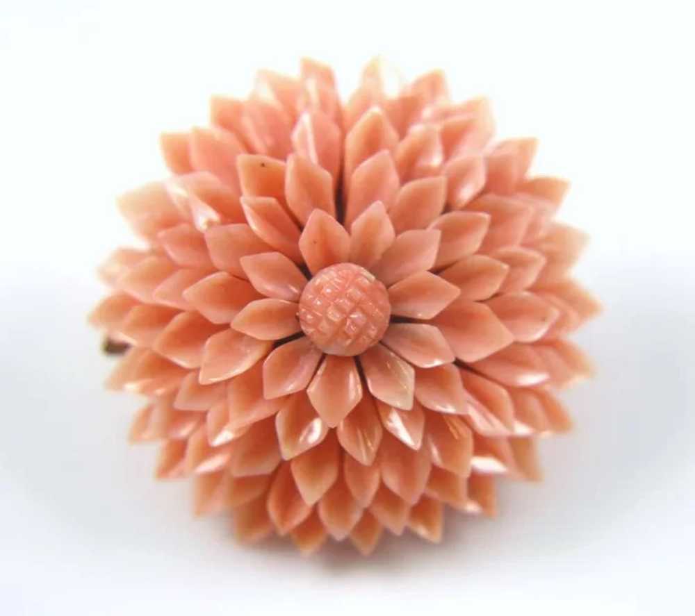 Victorian 9ct Gold Convertible Coral Chrysanthemu… - image 5