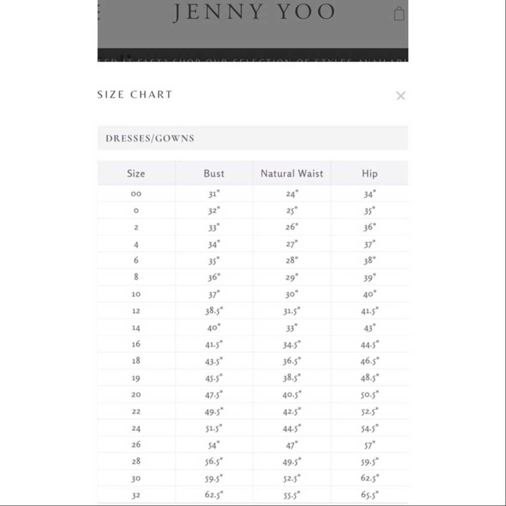 Jenny Yoo Alanna Ohana Print Open Back Chiffon Go… - image 12