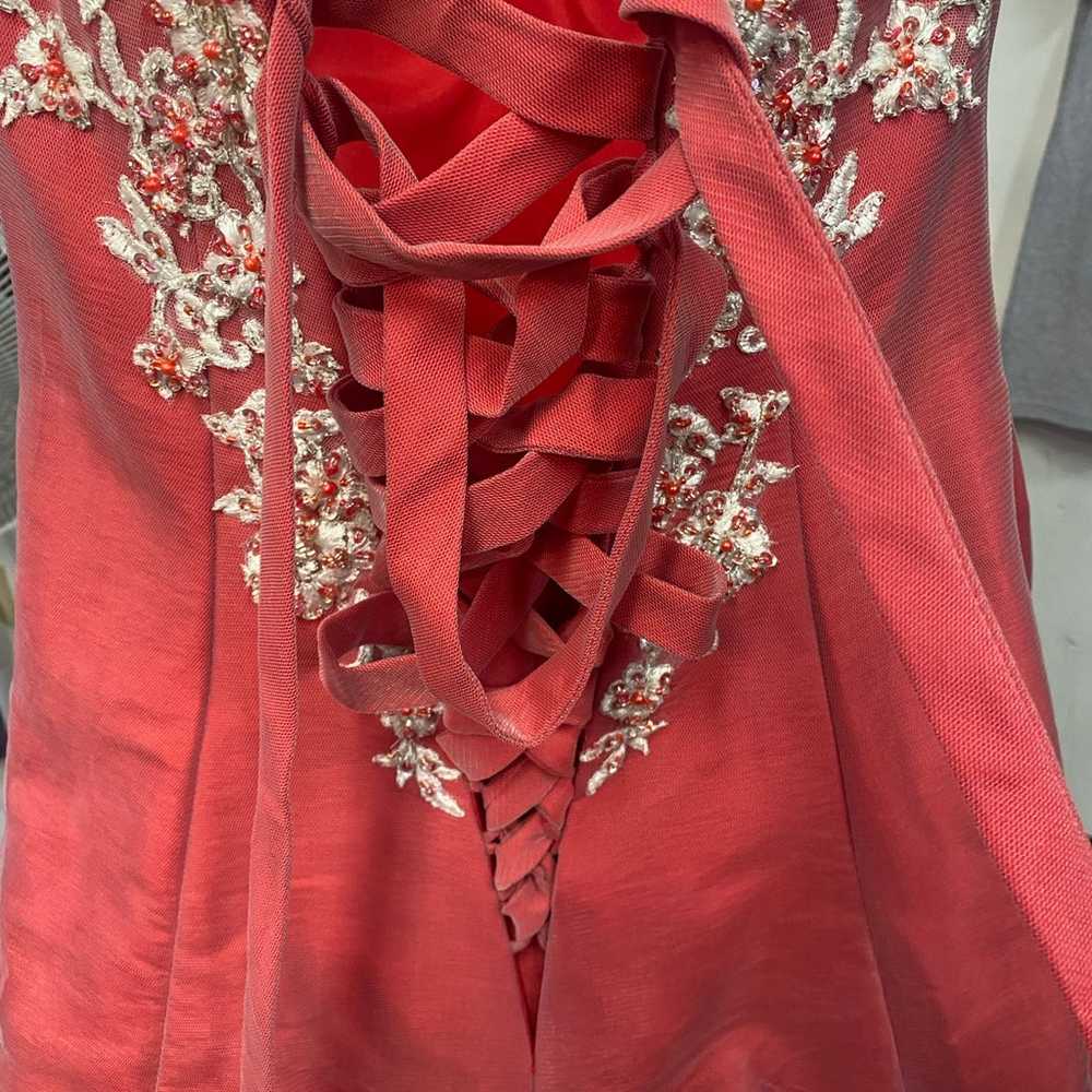 Classic Tiffany Design Pagent/Prom/Quinciera Dres… - image 6