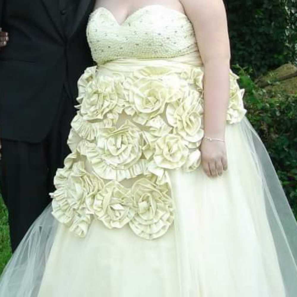 Prom Dress/Wedding Dress - image 1