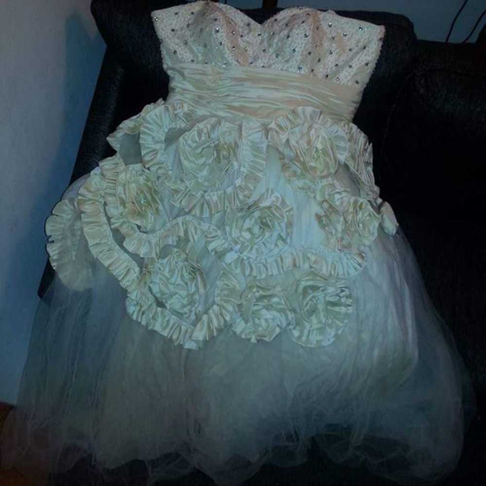 Prom Dress/Wedding Dress - image 3