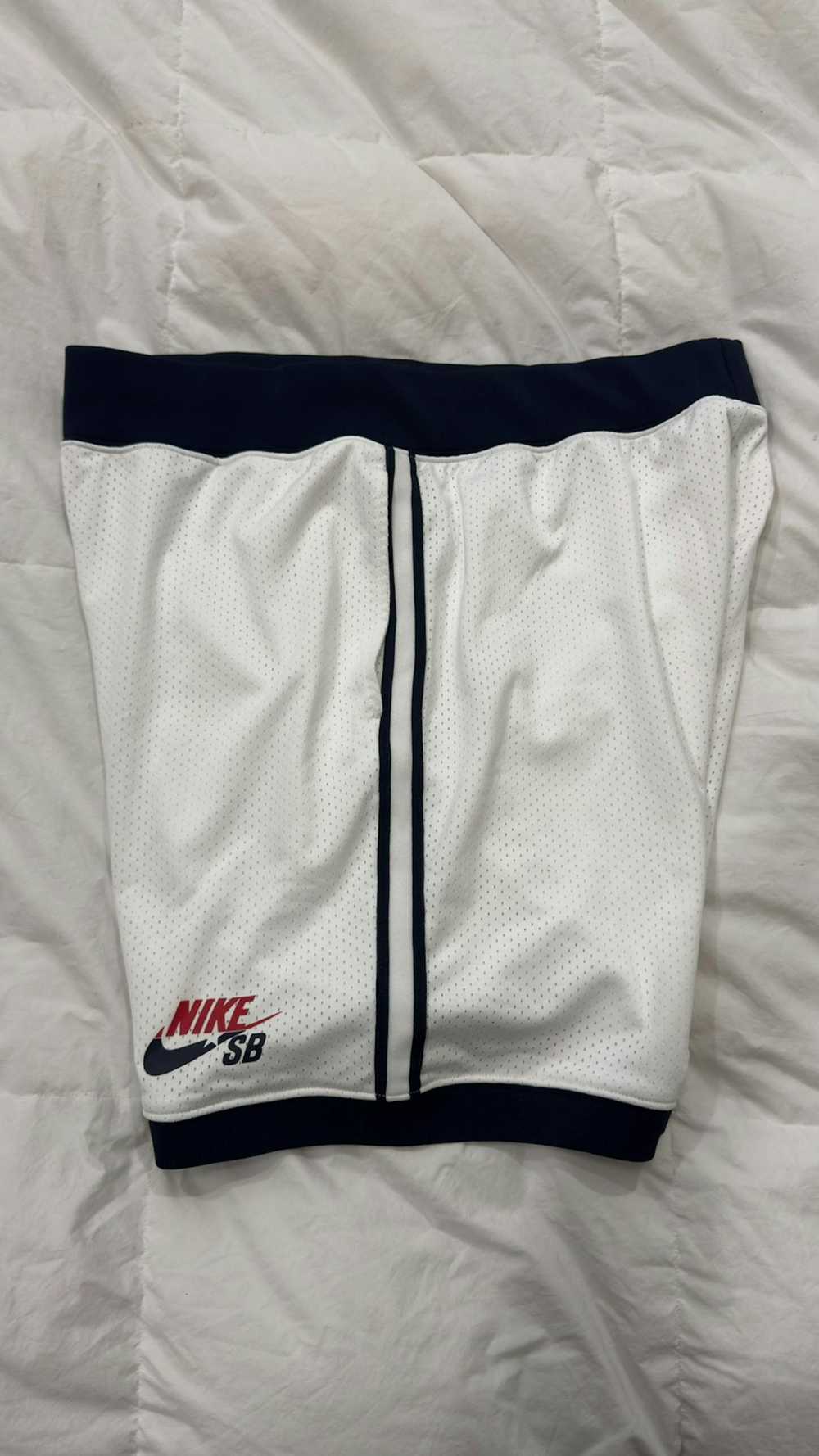 Nike Nike SB Mesh Shorts - image 3