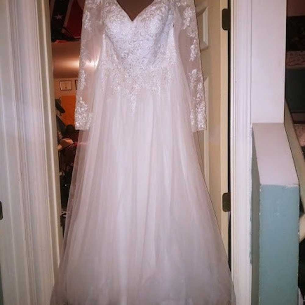 Wedding Dress & Veil - image 1