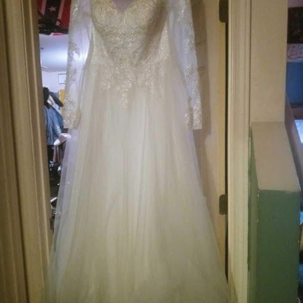 Wedding Dress & Veil - image 3