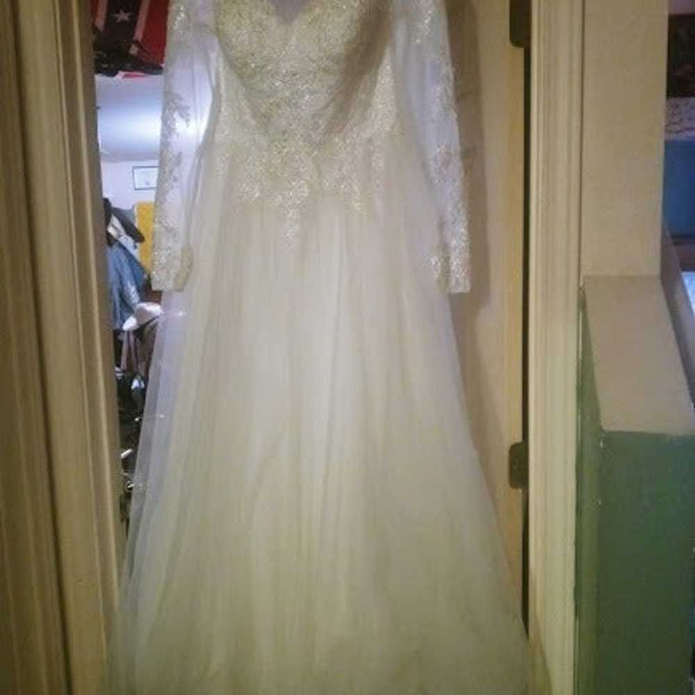 Wedding Dress & Veil - image 4
