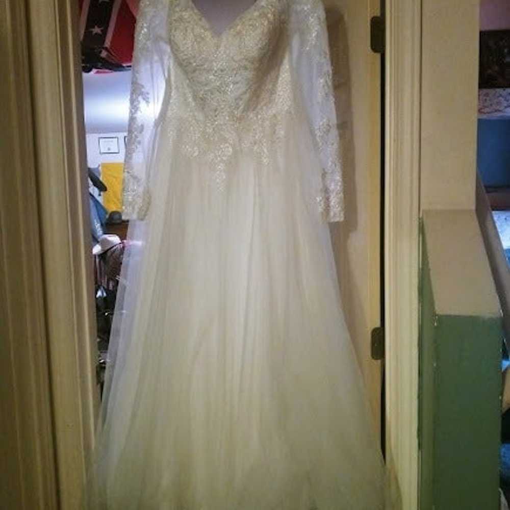 Wedding Dress & Veil - image 5