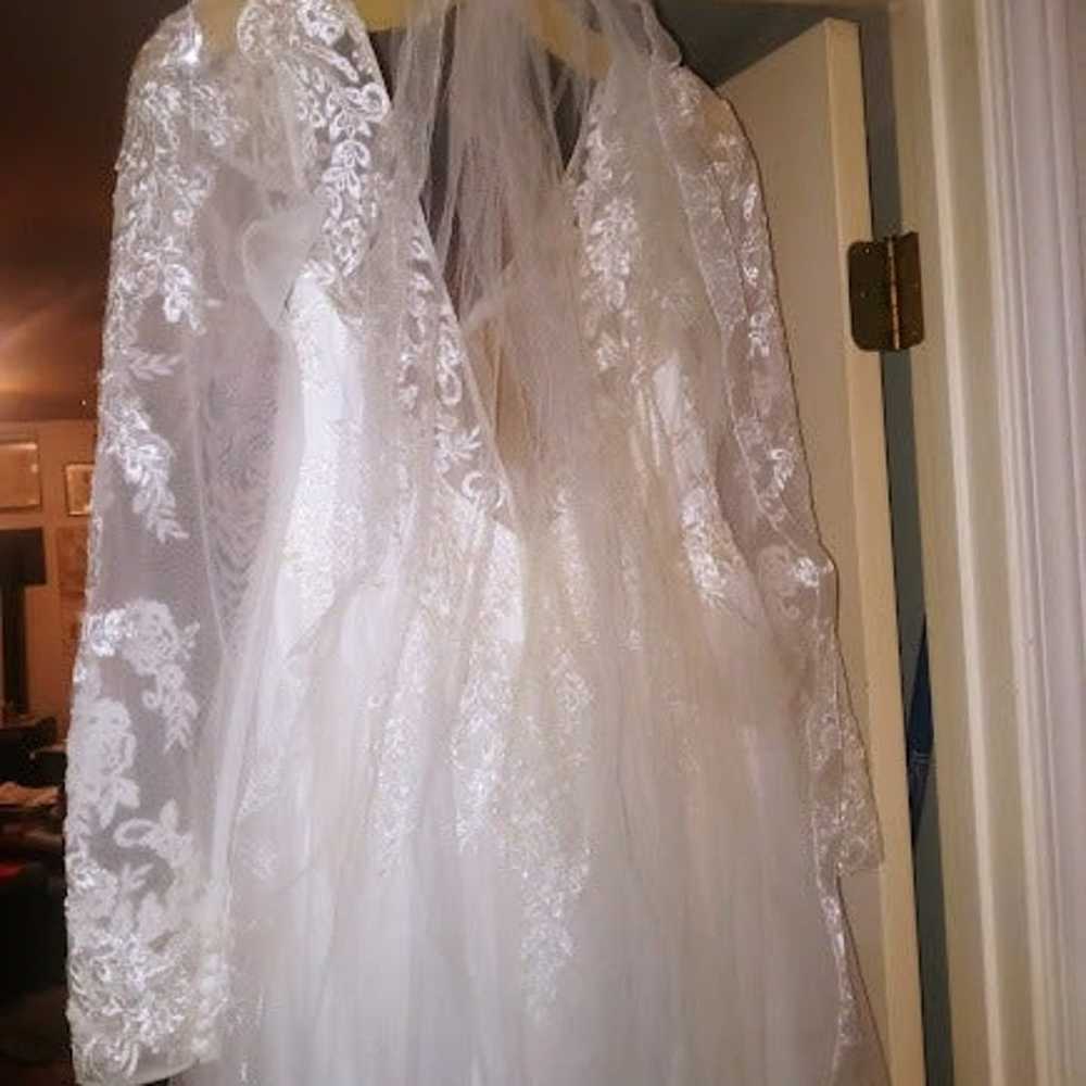 Wedding Dress & Veil - image 8