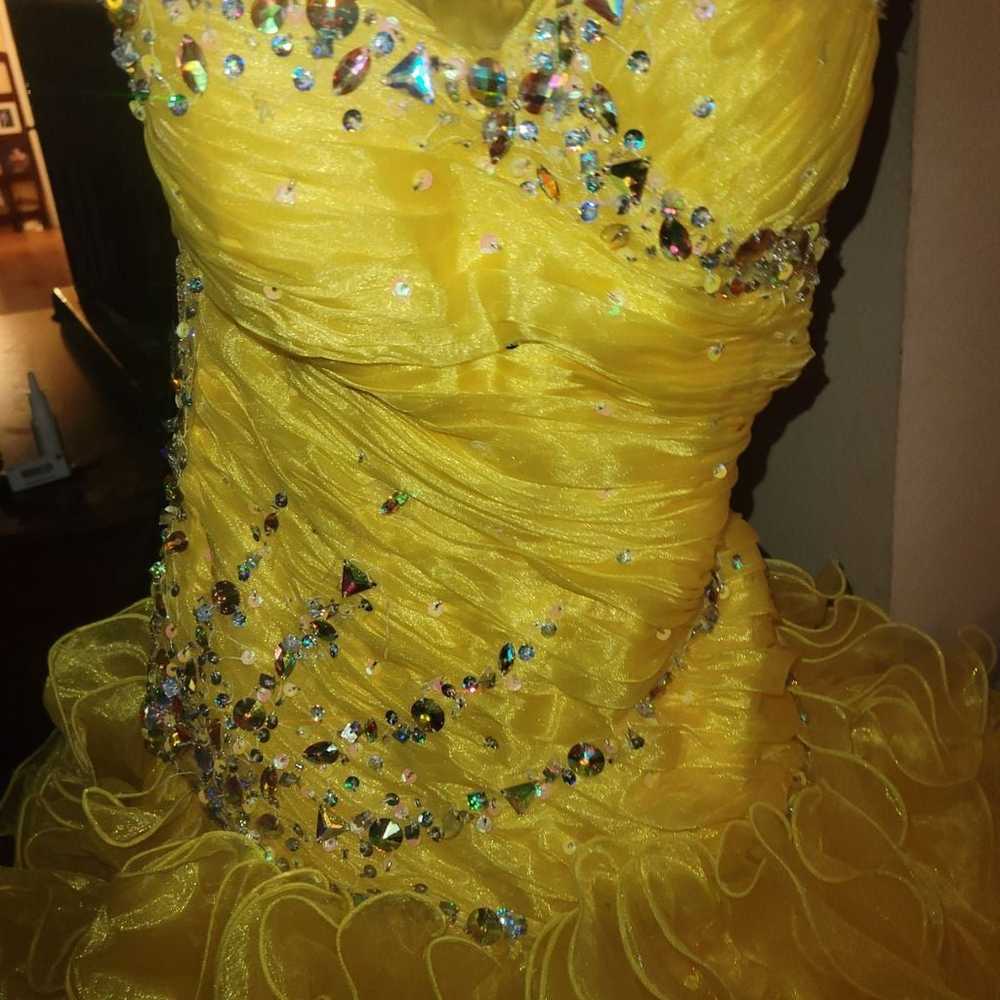 Tiffany design prom dress size 8 - image 2