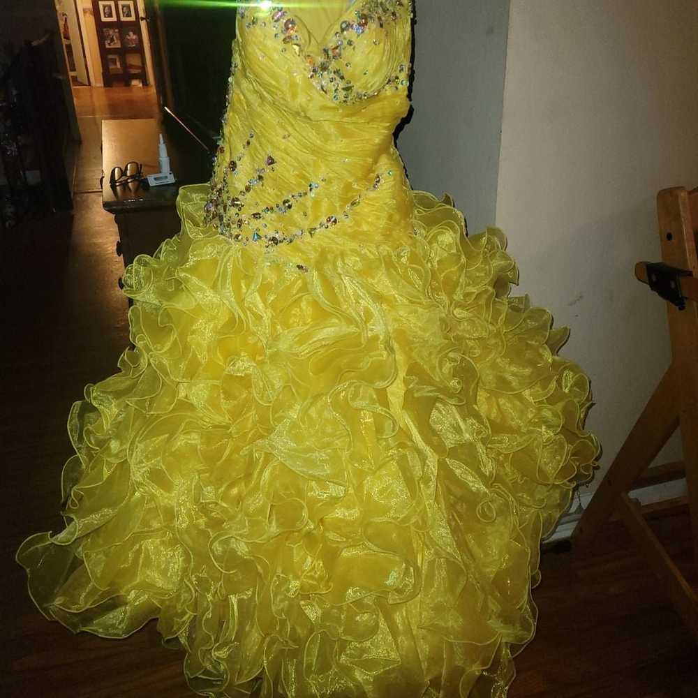 Tiffany design prom dress size 8 - image 3
