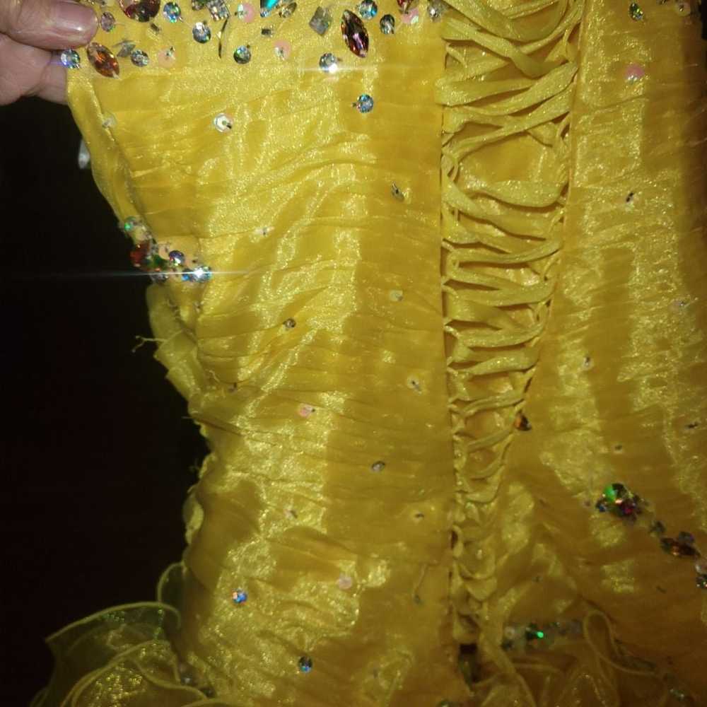 Tiffany design prom dress size 8 - image 4